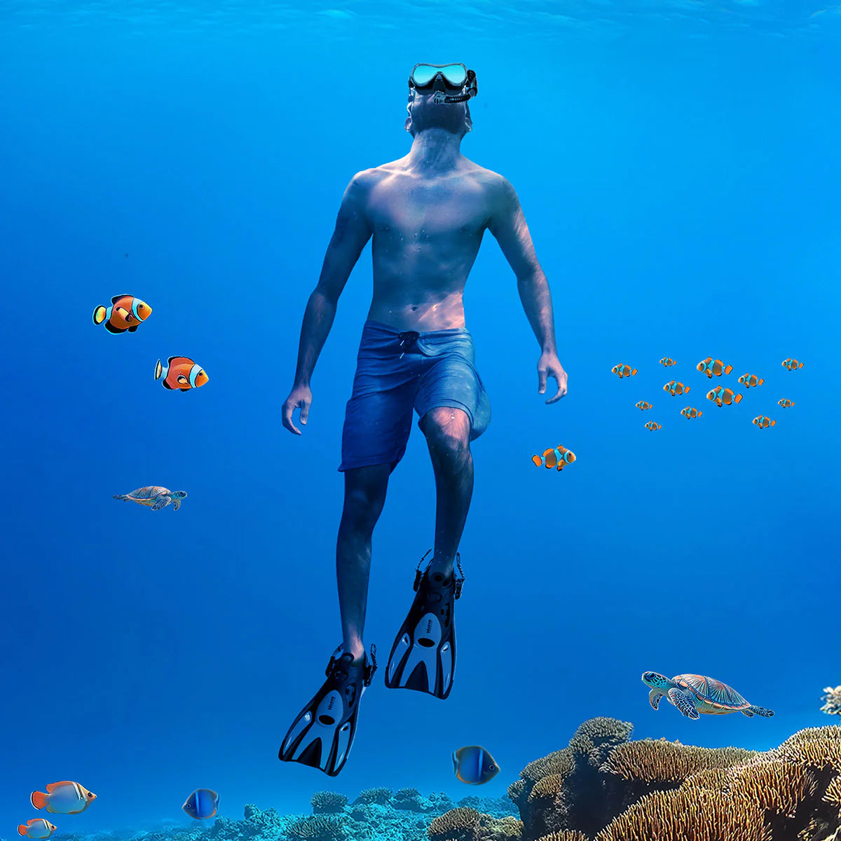 PINNE SNORKELING
