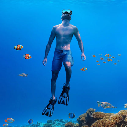 PINNE SNORKELING